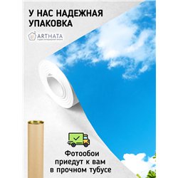 Фотообои ветви деревьев и небо для спальни моющиеся 400х270
