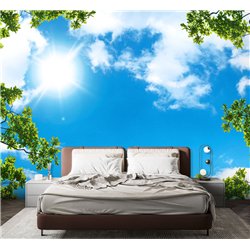 Фотообои ветви деревьев и небо для спальни моющиеся 400х270