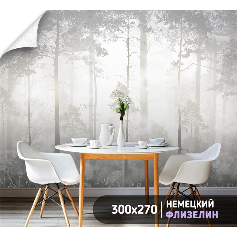 Фотообои Лес в тумане 300х270 см для оформления гостиной