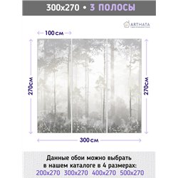 Фотообои Лес в тумане 300х270 см для оформления гостиной