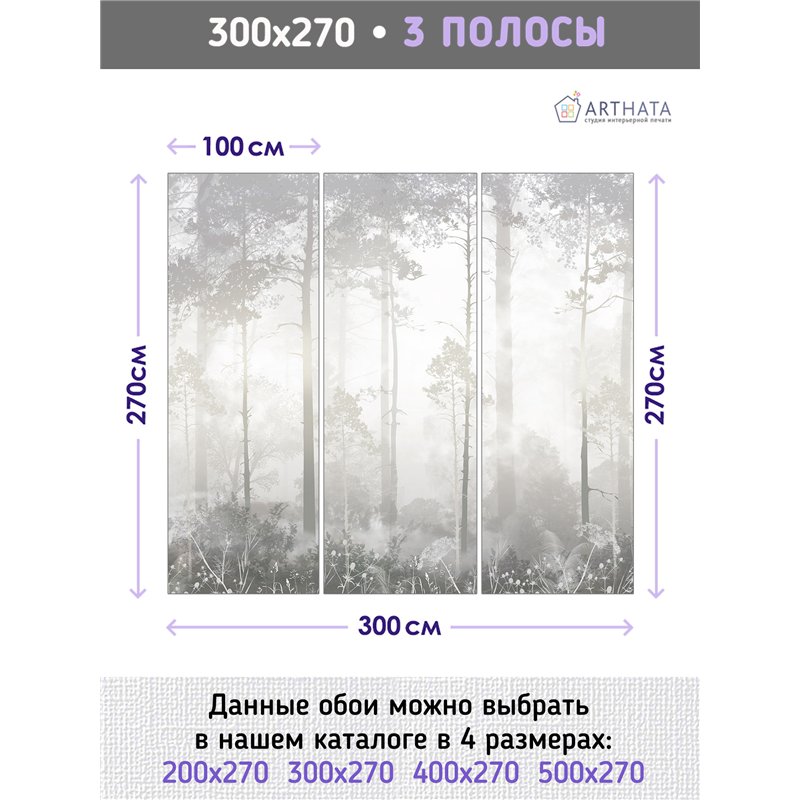 Фотообои Лес в тумане 300х270 см для оформления гостиной