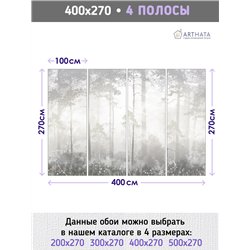 Фотообои Лес в тумане 400х270 см для спальни