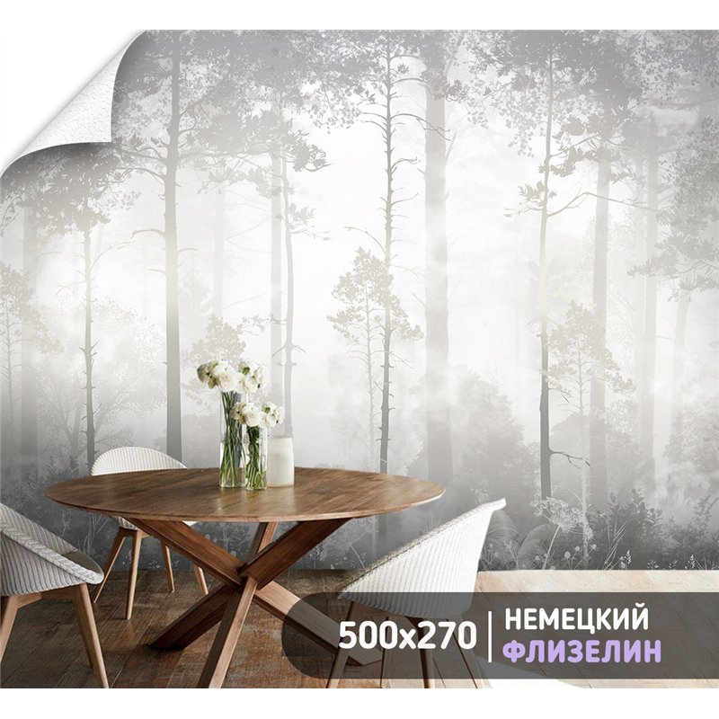 Фотообои Лес в тумане 500х270 см для коридора