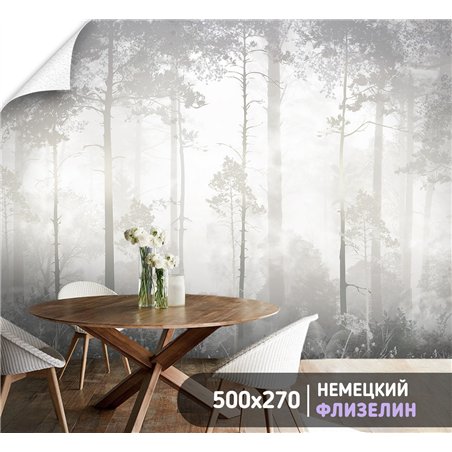 Фотообои Лес в тумане 500х270 см для коридора