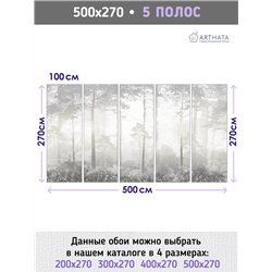 Фотообои Лес в тумане 500х270 см для коридора