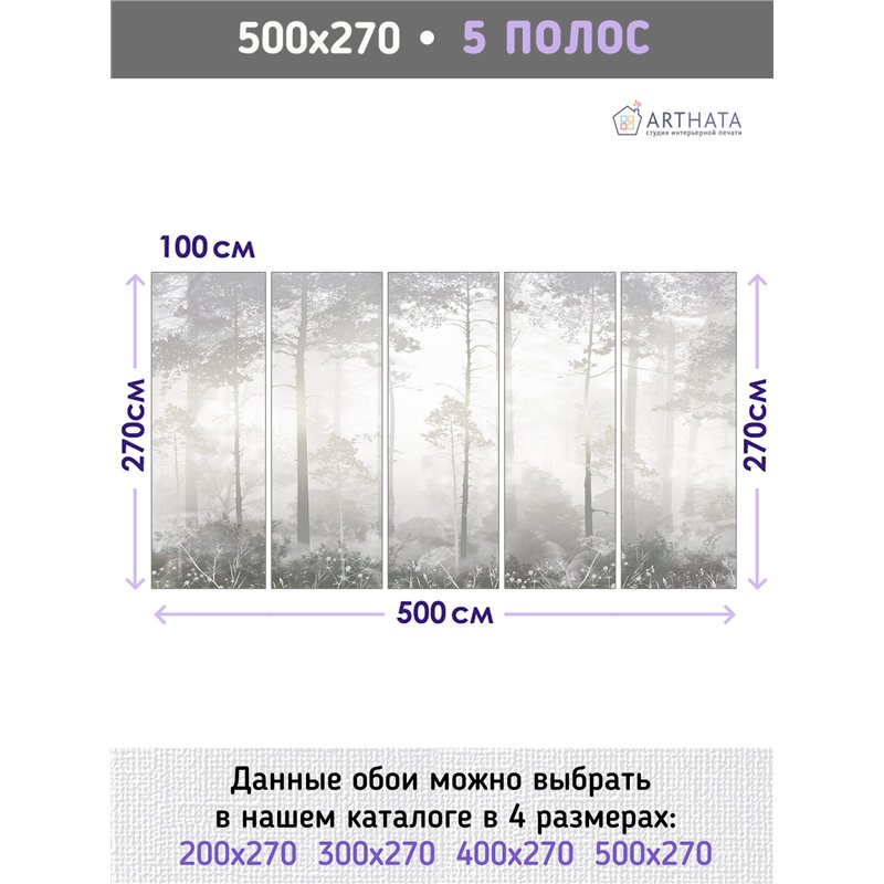 Фотообои Лес в тумане 500х270 см для коридора