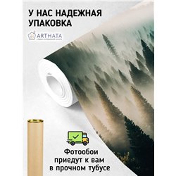 Фотообои Лес в тумане с солнечными лучами 300х270 см для оформления гостиной