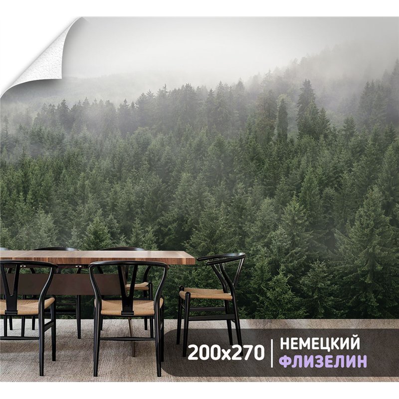 Фотообои Горный лес в тумане 200х270 см для декорирования стен в зале