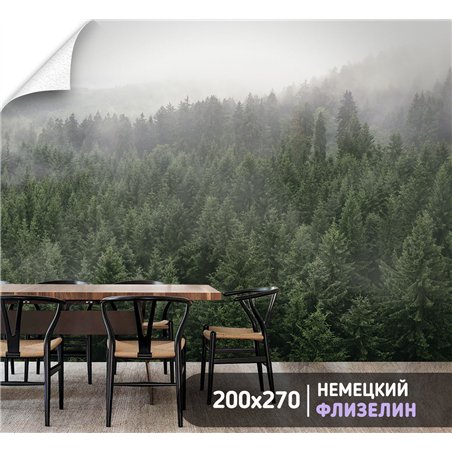 Фотообои Горный лес в тумане 200х270 см для декорирования стен в зале