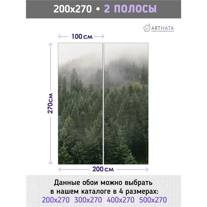 Фотообои Горный лес в тумане 200х270 см для декорирования стен в зале