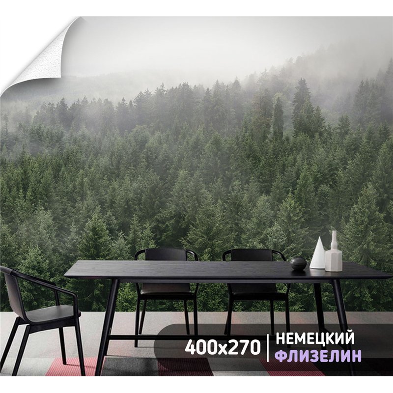 Фотообои Горный лес в тумане 400х270 см для спальни