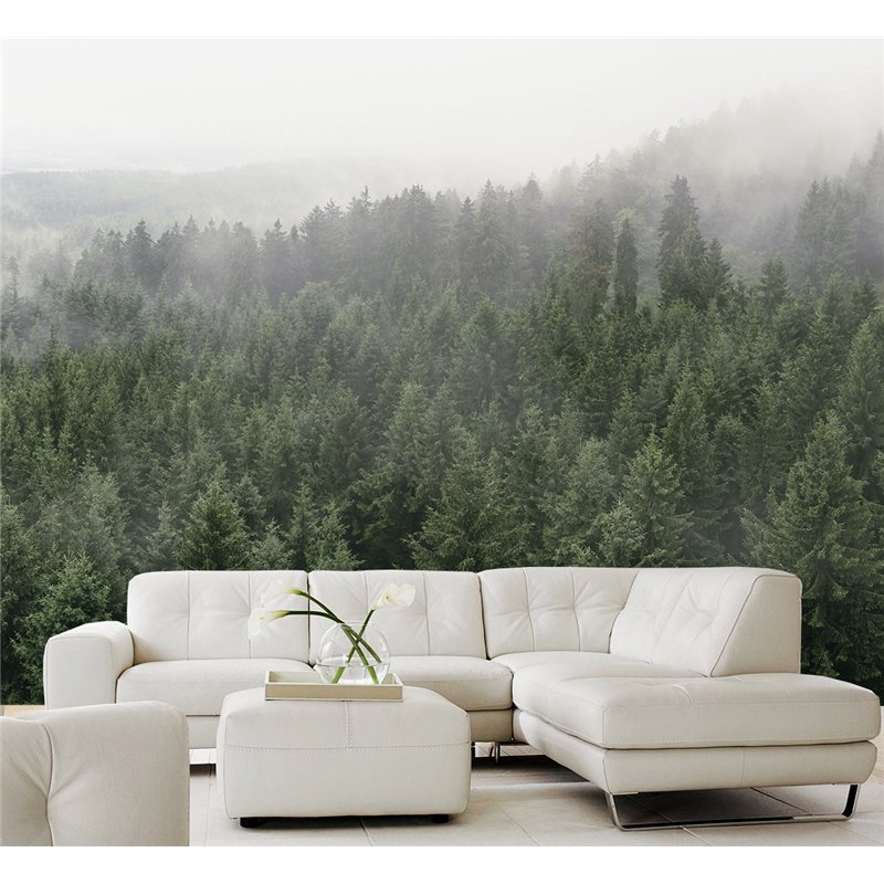 Фотообои Горный лес в тумане 400х270 см для спальни