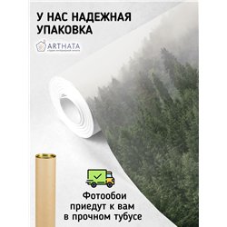 Фотообои Горный лес в тумане 400х270 см для спальни