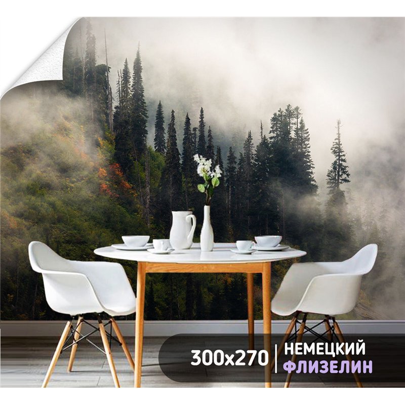 Фотообои Осенний горный лес в тумане 300х270 см для оформления гостиной