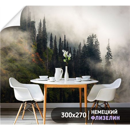 Фотообои Осенний горный лес в тумане 300х270 см для оформления гостиной