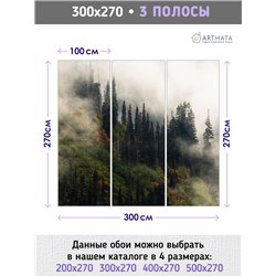 Фотообои Осенний горный лес в тумане 300х270 см для оформления гостиной