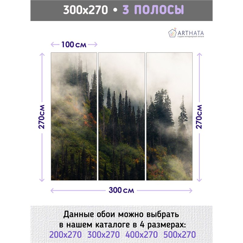 Фотообои Осенний горный лес в тумане 300х270 см для оформления гостиной