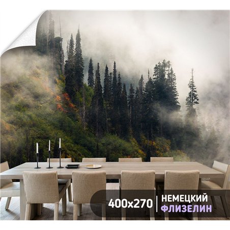 Фотообои Осенний горный лес в тумане 400х270 см для спальни