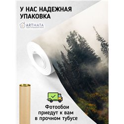 Фотообои Осенний горный лес в тумане 400х270 см для спальни