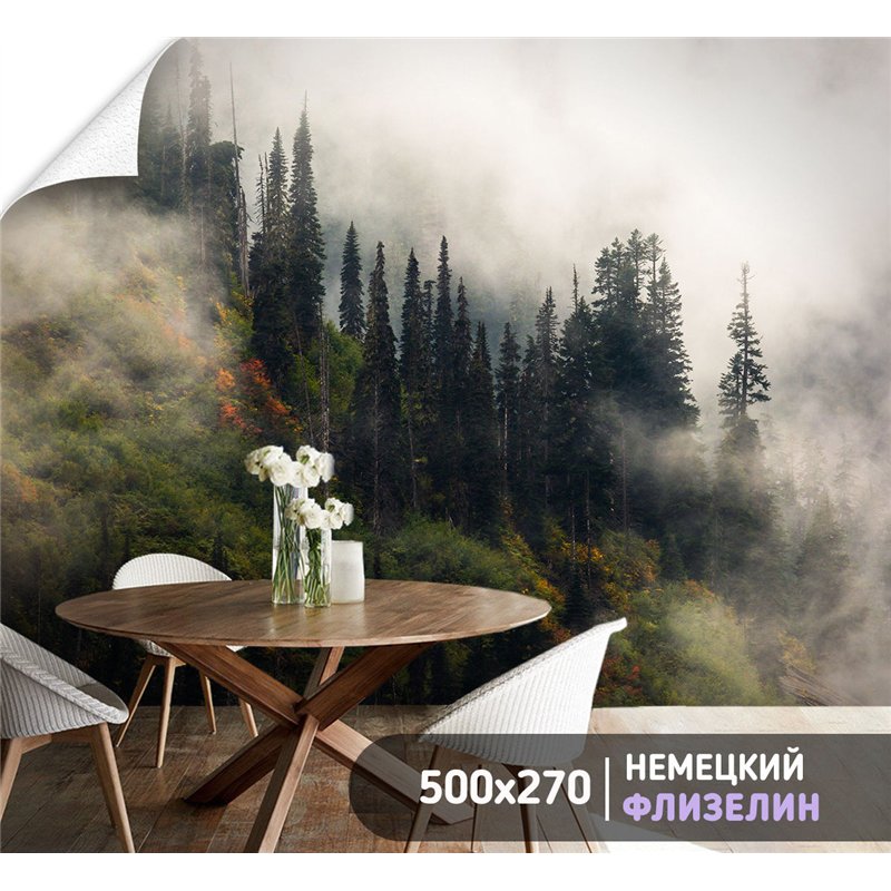 Фотообои Осенний горный лес в тумане 500х270 см для коридора