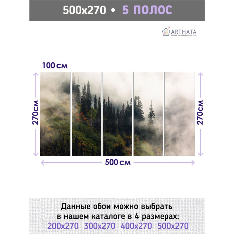 Фотообои Осенний горный лес в тумане 500х270 см для коридора