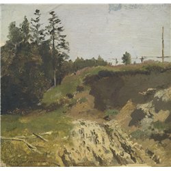Овраг у леса