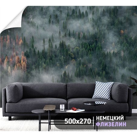 Фотообои Изумрудный лес в тумане 500х270 см для коридора