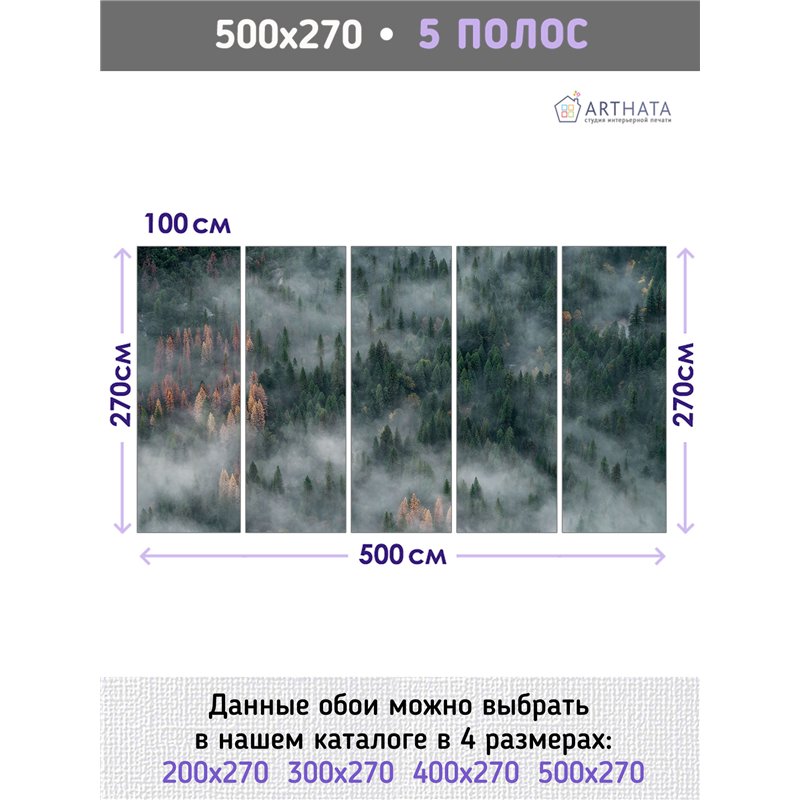 Фотообои Изумрудный лес в тумане 500х270 см для коридора
