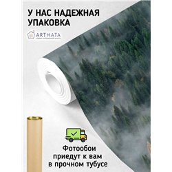 Фотообои Изумрудный лес в тумане 500х270 см для коридора