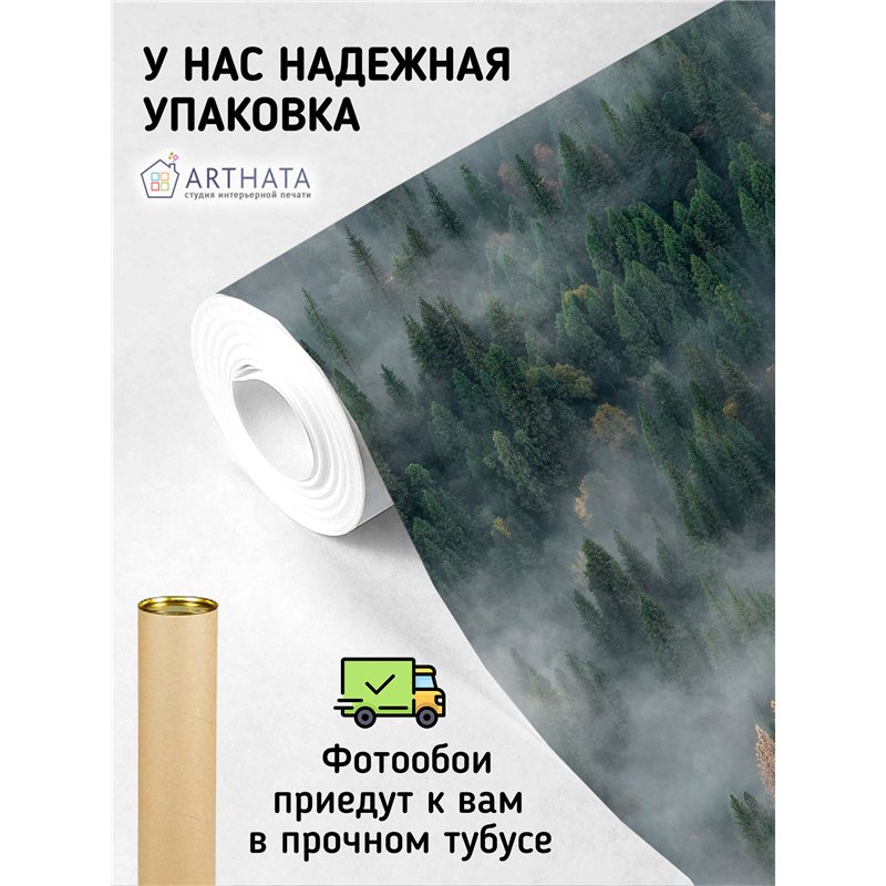 Фотообои Изумрудный лес в тумане 500х270 см для коридора