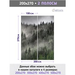 Фотообои Изумрудный лес в тумане 200х270 см для оформления зала