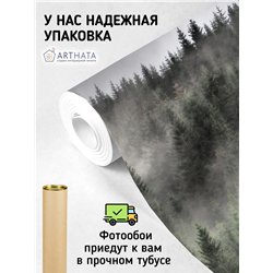 Фотообои Изумрудный лес в тумане 200х270 см для оформления зала