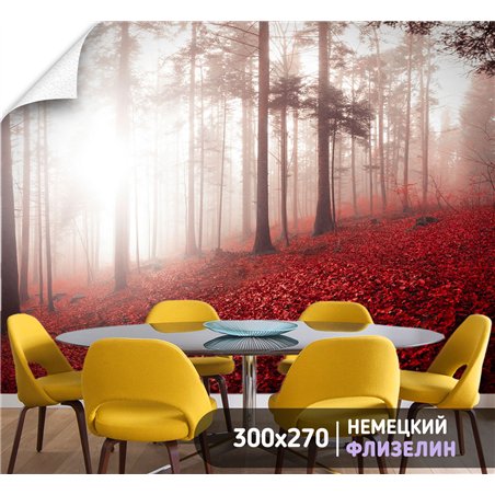 Фотообои Осенний красный лес в тумане 300х270 см для оформления гостиной