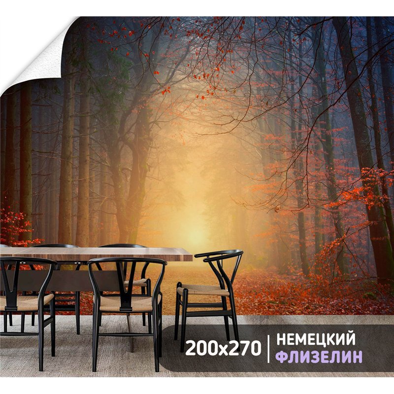 Фотообои Осенний красный лес в тумане 200х270 см для декорирования стен в зале