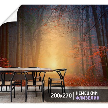 Фотообои Осенний красный лес в тумане 200х270 см для декорирования стен в зале