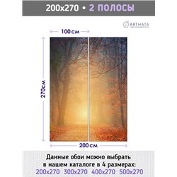 Фотообои Осенний красный лес в тумане 200х270 см для декорирования стен в зале