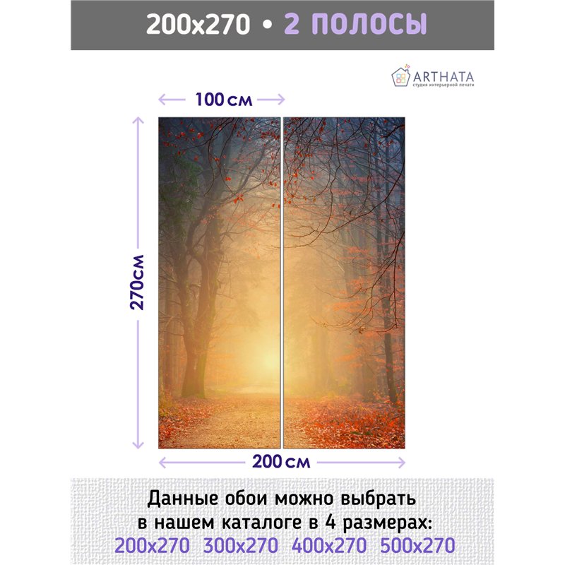 Фотообои Осенний красный лес в тумане 200х270 см для декорирования стен в зале