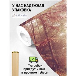 Фотообои Осенний красный лес в тумане 200х270 см для декорирования стен в зале