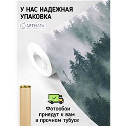 Фотообои Изумрудный лес в тумане 400х270 см для спальни