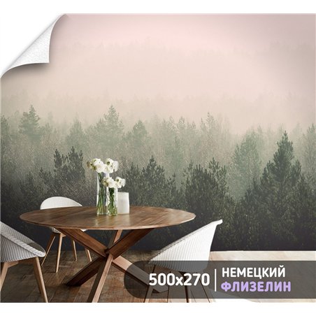Фотообои Лес в тумане 500х270 см для коридора