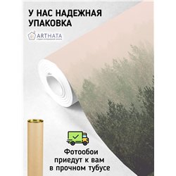 Фотообои Лес в тумане 500х270 см для коридора
