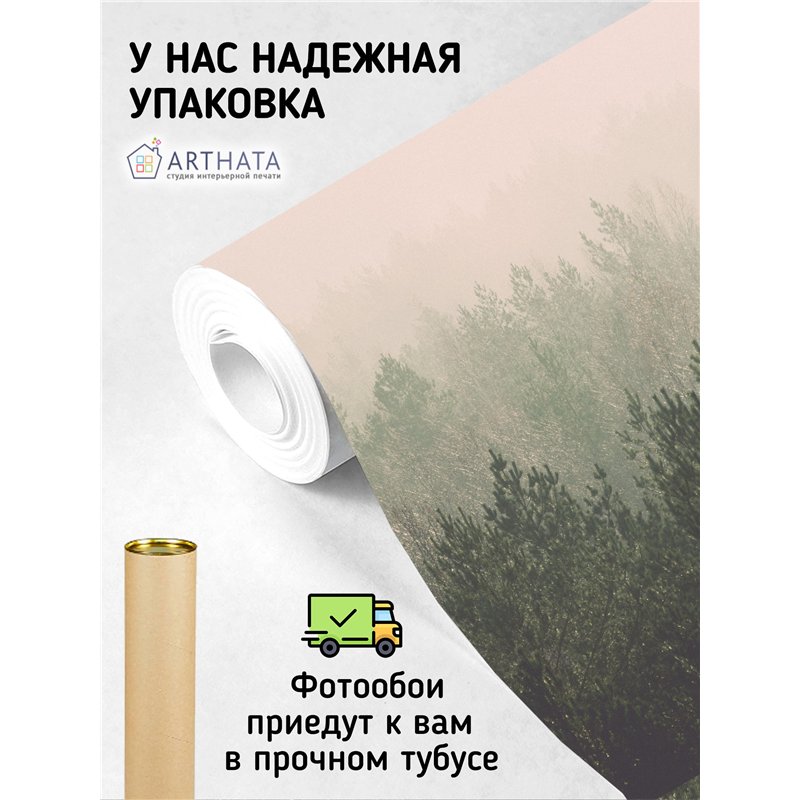 Фотообои Лес в тумане 500х270 см для коридора