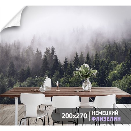 Фотообои Изумрудный лес в тумане 200х270 см для оформления зала
