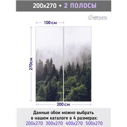 Фотообои Изумрудный лес в тумане 200х270 см для оформления зала