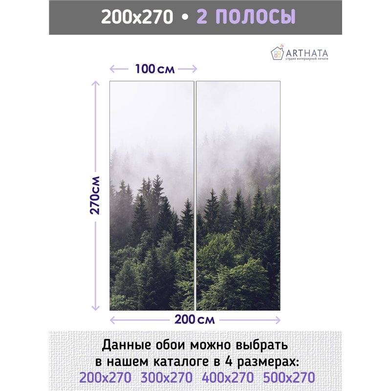Фотообои Изумрудный лес в тумане 200х270 см для оформления зала