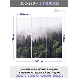 Фотообои Изумрудный лес в тумане 300х270 см для оформления гостиной