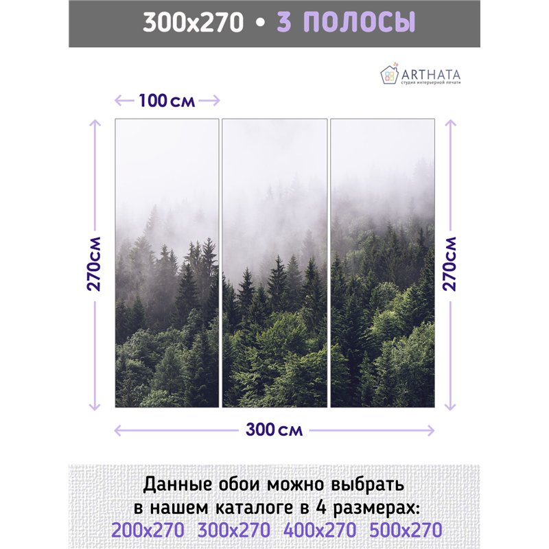 Фотообои Изумрудный лес в тумане 300х270 см для оформления гостиной