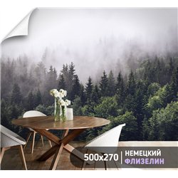 Фотообои Изумрудный лес в тумане 500х270 см для коридора