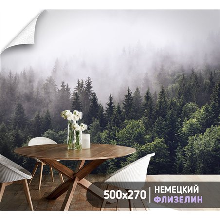Фотообои Изумрудный лес в тумане 500х270 см для коридора