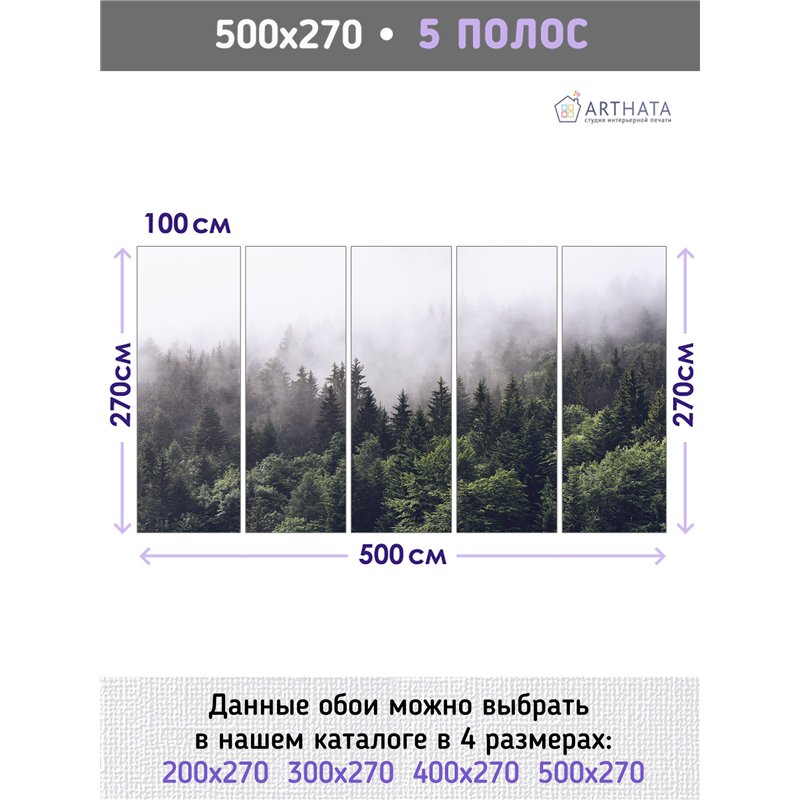 Фотообои Изумрудный лес в тумане 500х270 см для коридора